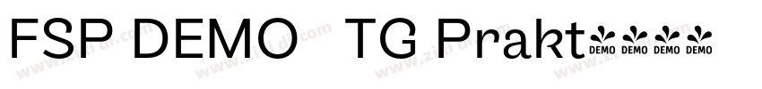 FSP DEMO   TG Prakt字体转换
